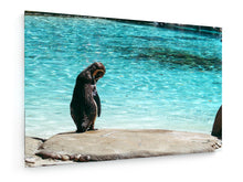 Load image into Gallery viewer, Stretched Canvas - Textile - Penguin