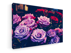 Stretched Canvas Classic – Premium - Roses