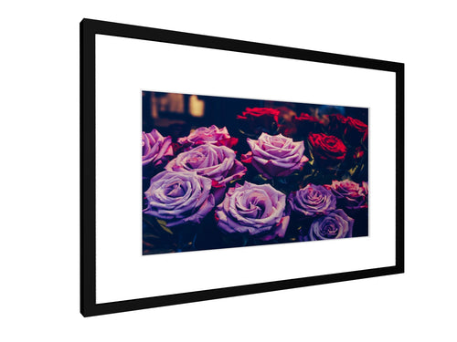 Framed print - Smooth - Roses